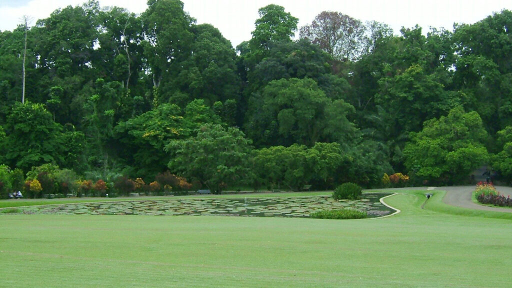 Bogor_Botanical_Garden