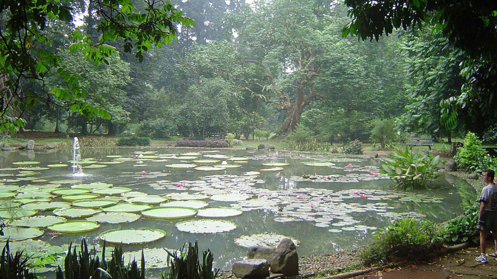 Botanischer_Garten_in_Bogor