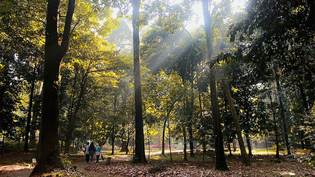 Kebun_Raya_Bogor