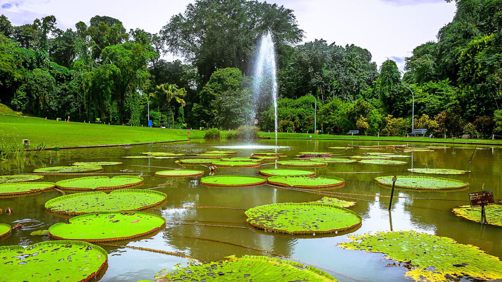 Kebun_Raya_Bogor_19
